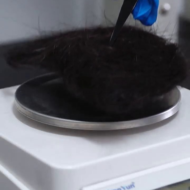 A hair sample being weighed